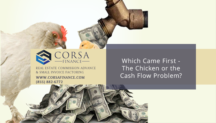 Which Came First - The Chicken or the Cash Flow Problems